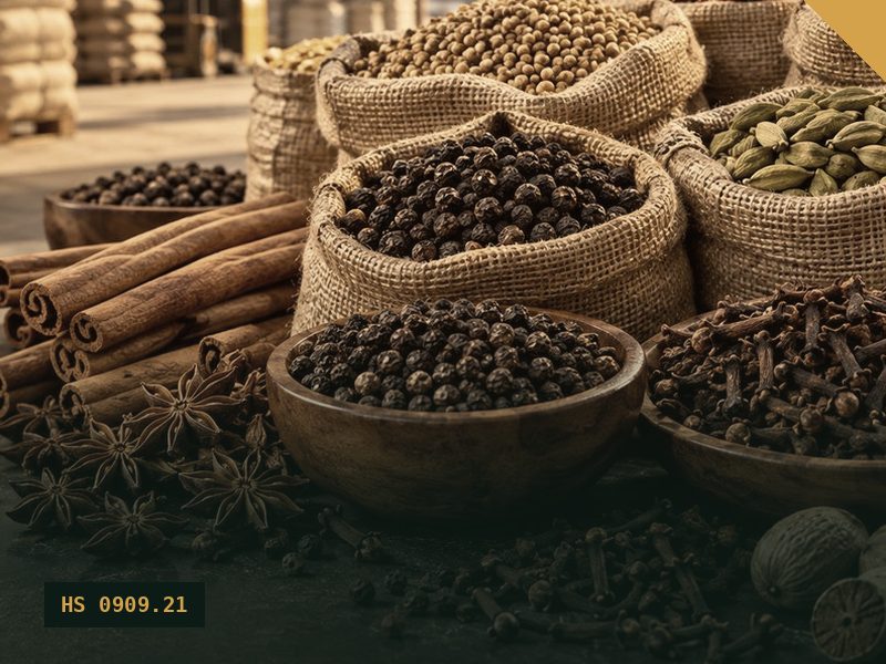 Coriander, Cumin & Fennel Seed for export from Malaysia