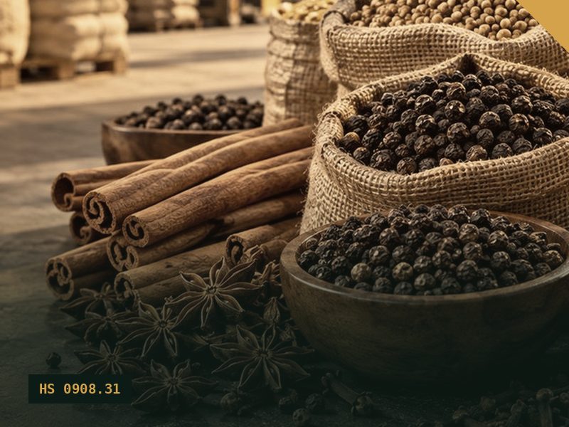 Green Cardamom for export from Malaysia