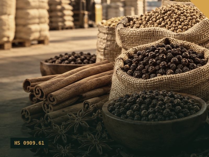 Star Anise for export from Malaysia